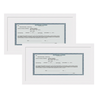 Business License Frame | Professional Display — 5x10 / White / 2 Pack