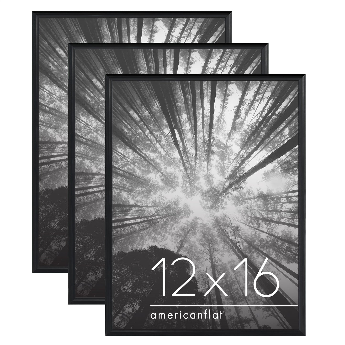 Poster Frame 3 Pack | Lightweight Design | Shatter-Resistant Cover | Wall Decor