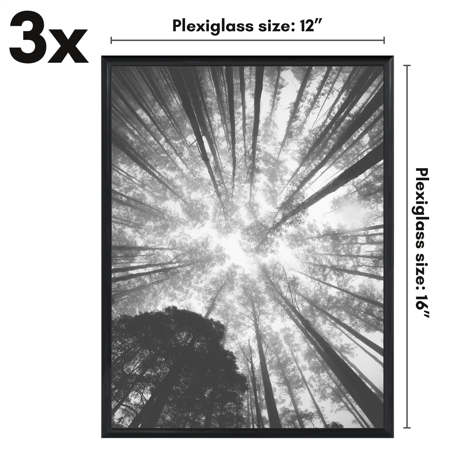 Poster Frame 3 Pack | Lightweight Design | Shatter-Resistant Cover | Wall Decor