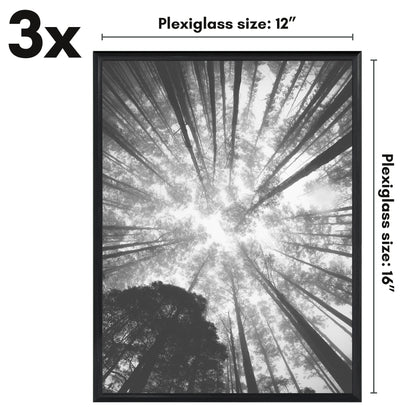 Poster Frame 3 Pack | Lightweight Design | Shatter-Resistant Cover | Wall Decor