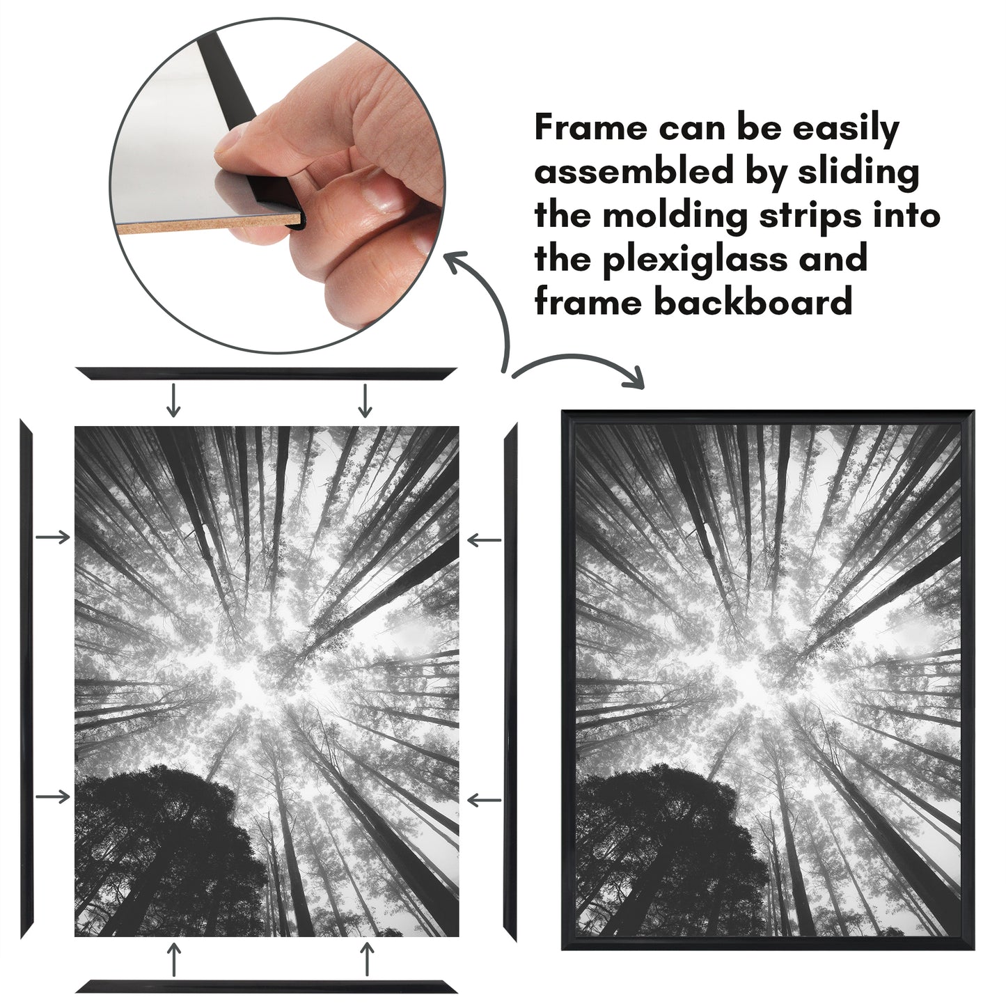 Poster Frame 3 Pack | Lightweight Design | Shatter-Resistant Cover | Wall Decor