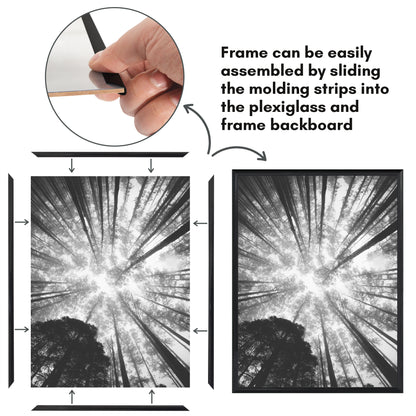 Poster Frame 3 Pack | Lightweight Design | Shatter-Resistant Cover | Wall Decor