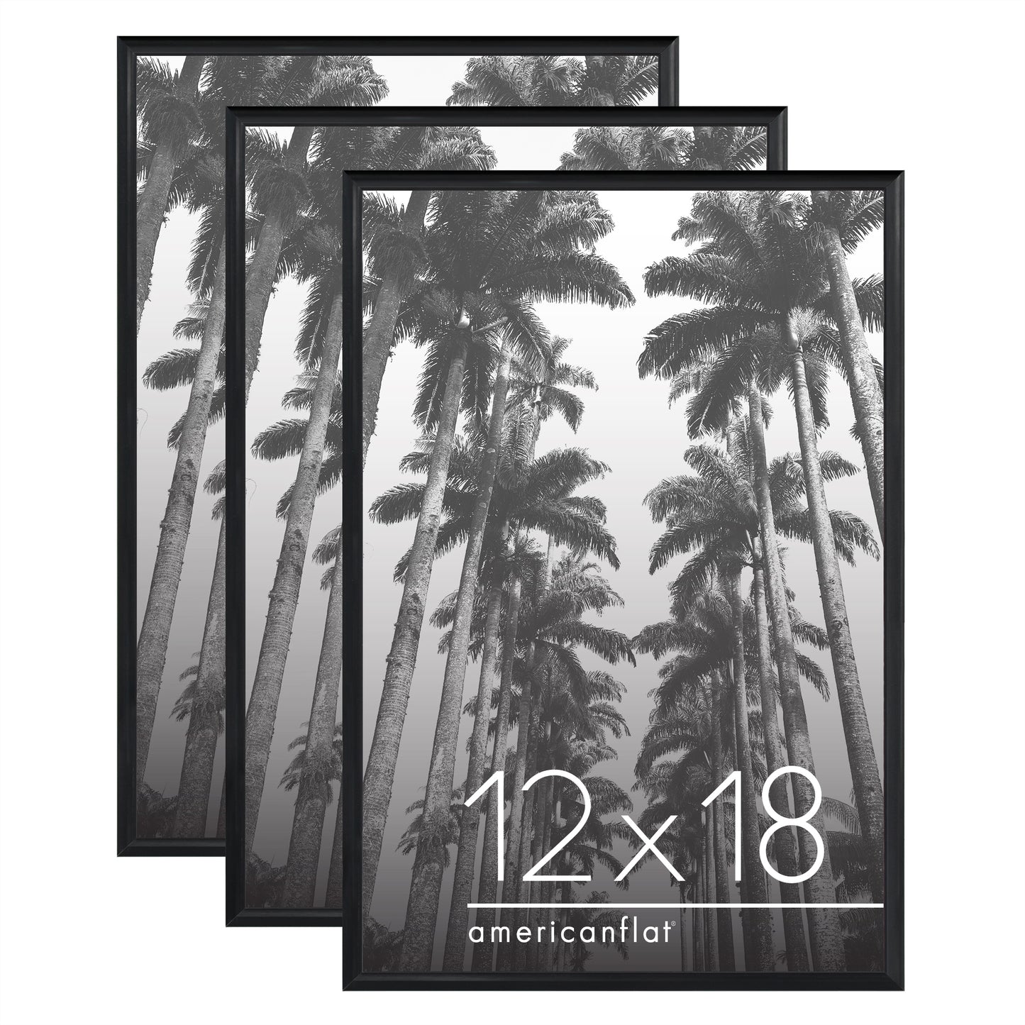 Poster Frame 3 Pack | Lightweight Design | Shatter-Resistant Cover | Wall Decor