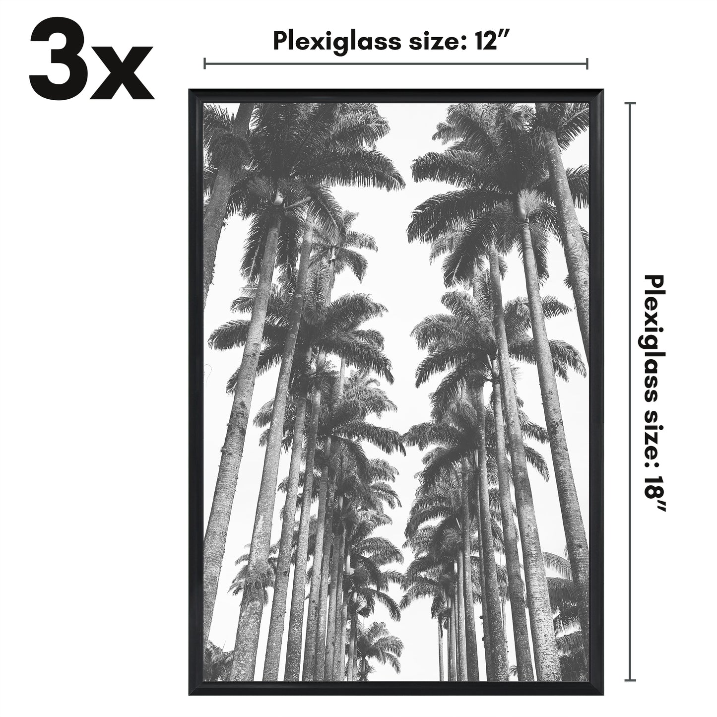 Poster Frame 3 Pack | Lightweight Design | Shatter-Resistant Cover | Wall Decor