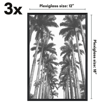 Poster Frame 3 Pack | Lightweight Design | Shatter-Resistant Cover | Wall Decor