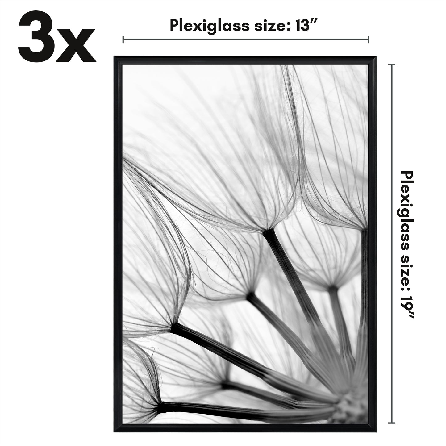 Poster Frame 3 Pack | Lightweight Design | Shatter-Resistant Cover | Wall Decor