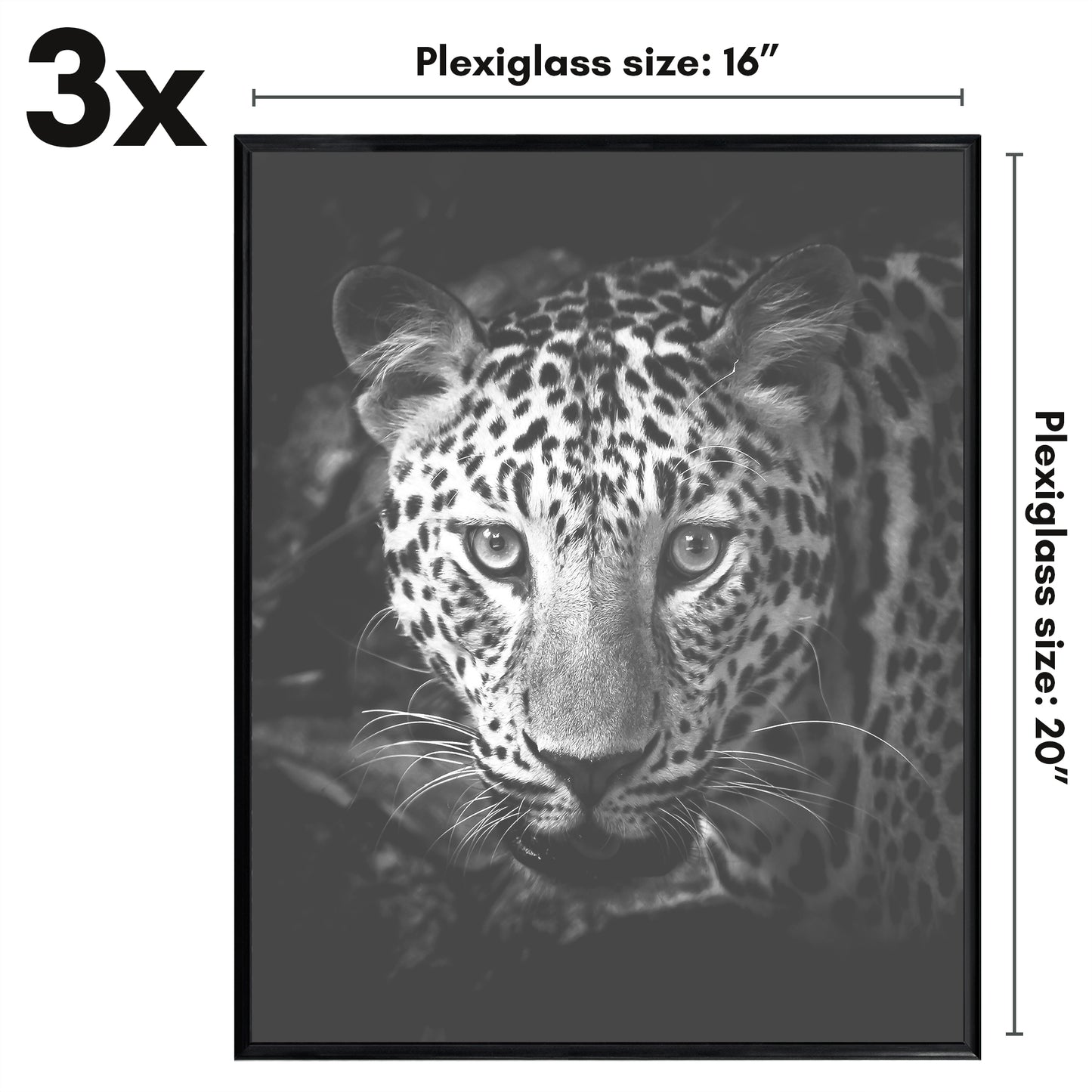 Poster Frame 3 Pack | Lightweight Design | Shatter-Resistant Cover | Wall Decor