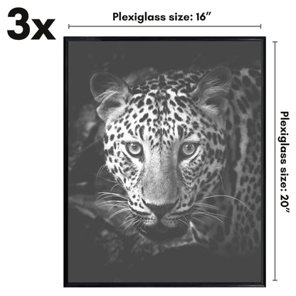 Poster Frame 3 Pack | Lightweight Design | Shatter-Resistant Cover | Wall Decor
