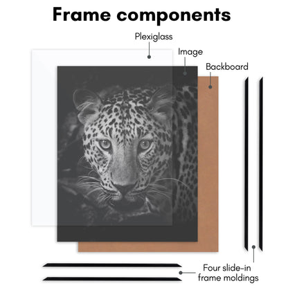 Poster Frame 3 Pack | Lightweight Design | Shatter-Resistant Cover | Wall Decor