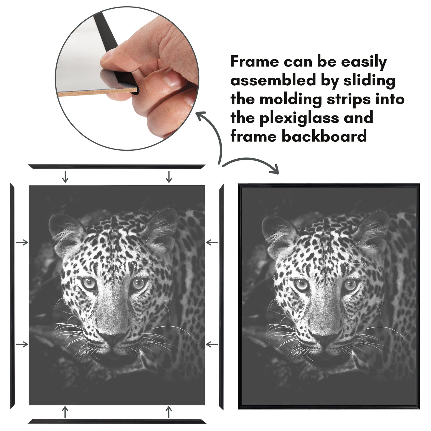 Poster Frame 3 Pack | Lightweight Design | Shatter-Resistant Cover | Wall Decor