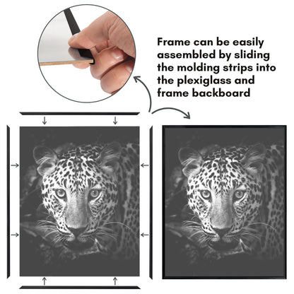 Poster Frame 3 Pack | Lightweight Design | Shatter-Resistant Cover | Wall Decor