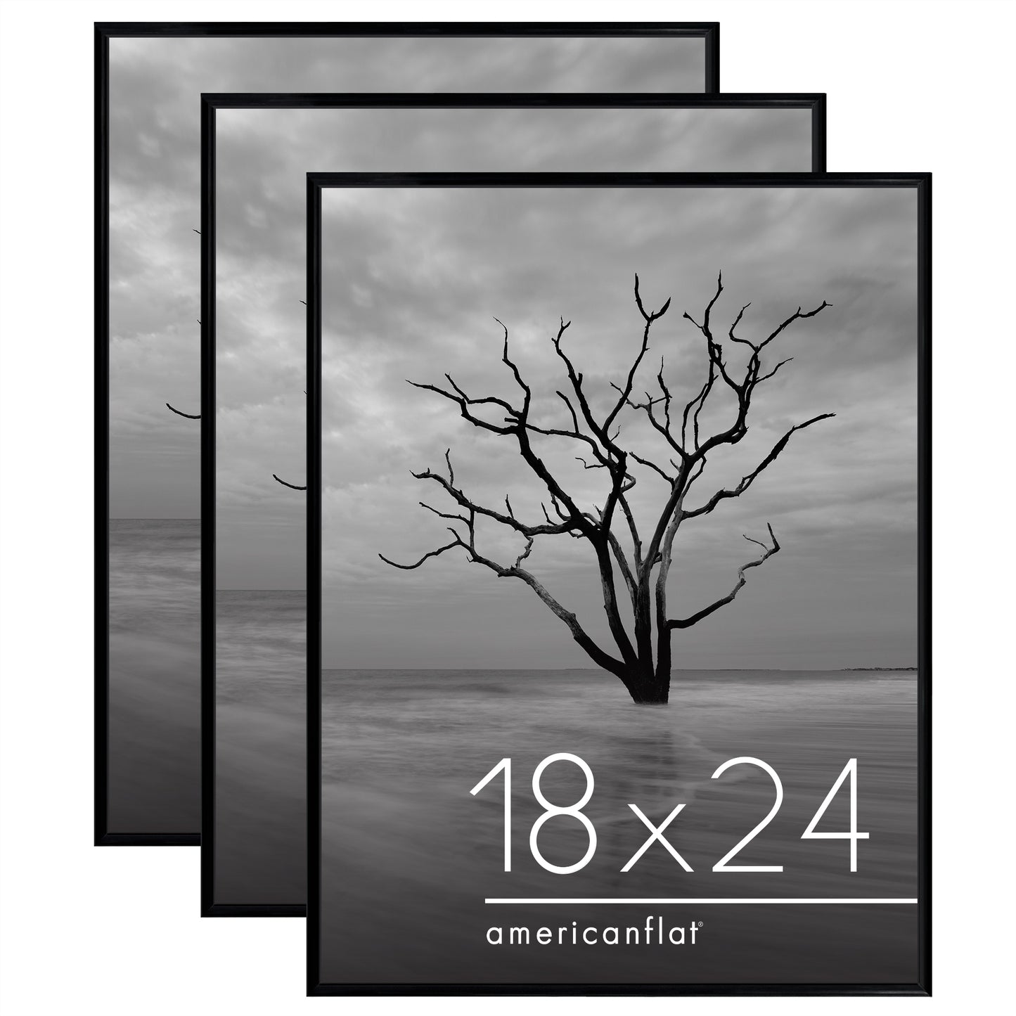 Poster Frame 3 Pack | Lightweight Design | Shatter-Resistant Cover | Wall Decor
