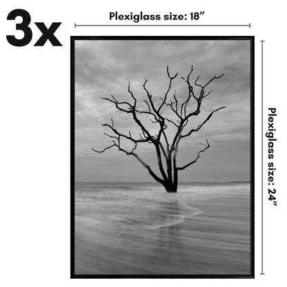 Poster Frame 3 Pack | Lightweight Design | Shatter-Resistant Cover | Wall Decor