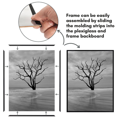 Poster Frame 3 Pack | Lightweight Design | Shatter-Resistant Cover | Wall Decor