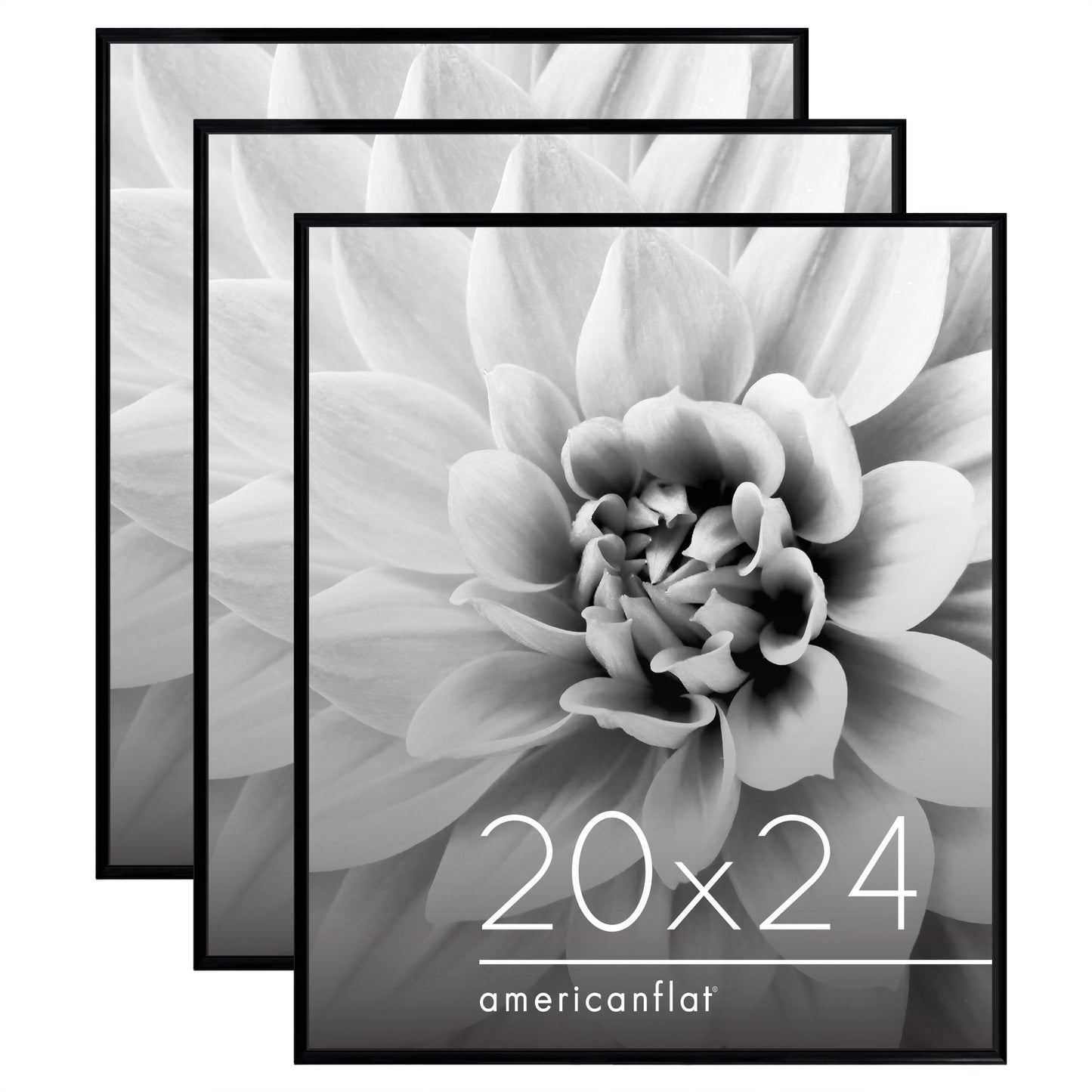 Poster Frame 3 Pack | Lightweight Design | Shatter-Resistant Cover | Wall Decor