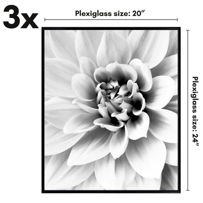 Poster Frame 3 Pack | Lightweight Design | Shatter-Resistant Cover | Wall Decor