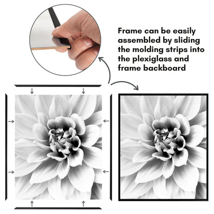 Poster Frame 3 Pack | Lightweight Design | Shatter-Resistant Cover | Wall Decor