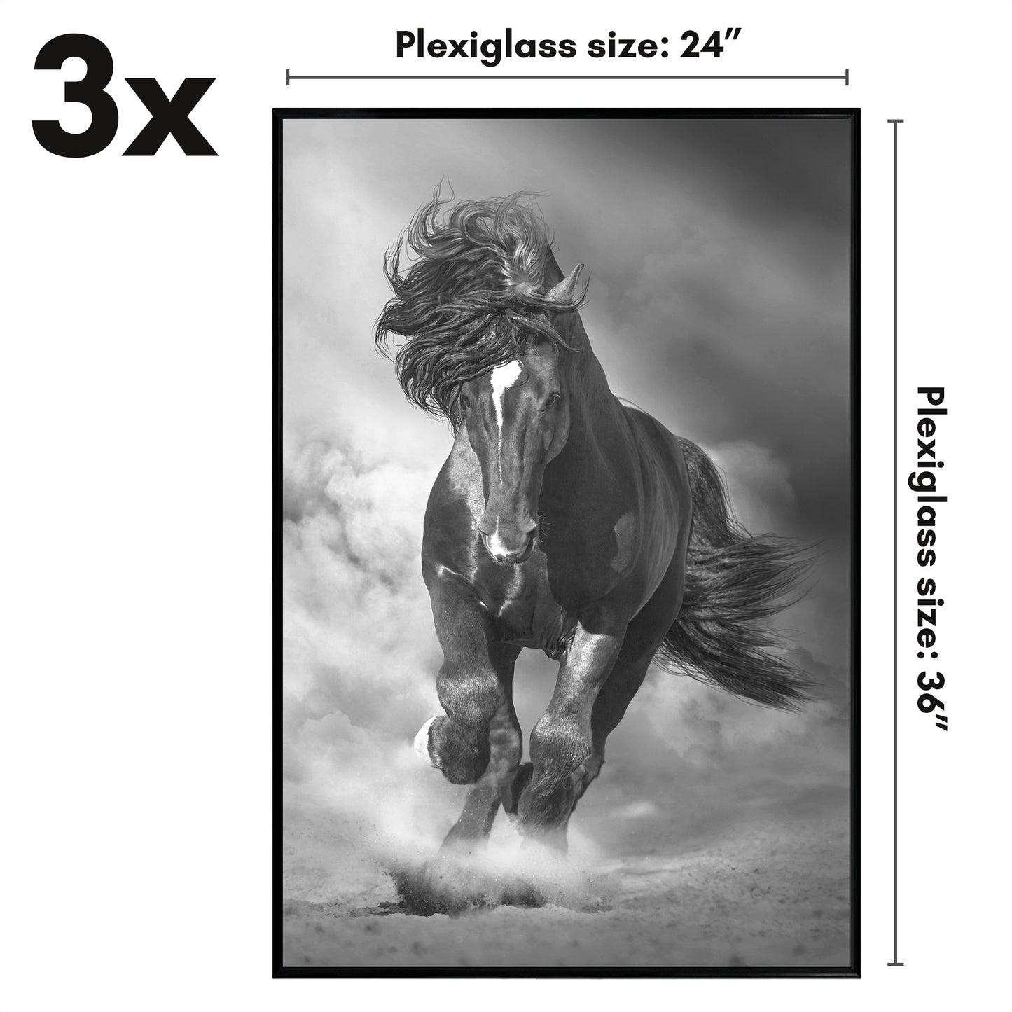 Poster Frame 3 Pack | Lightweight Design | Shatter-Resistant Cover | Wall Decor