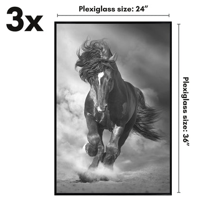 Poster Frame 3 Pack | Lightweight Design | Shatter-Resistant Cover | Wall Decor