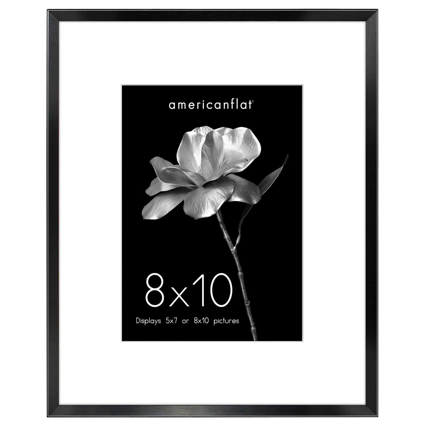 Aluminum Picture Frame | With Mat | Modern Metal Finish | Wall Art Decor Display