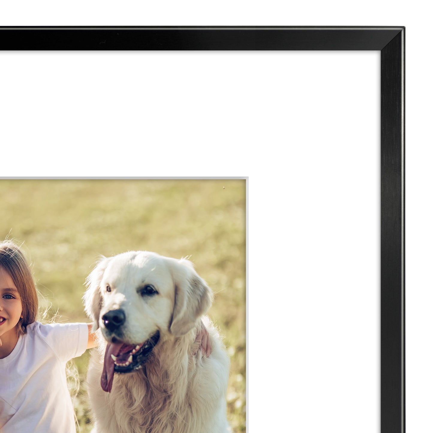 Aluminum Picture Frame | With Mat | Modern Metal Finish | Wall Art Decor Display
