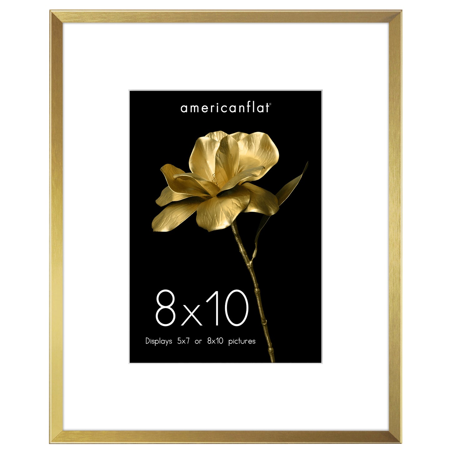 Aluminum Picture Frame | With Mat | Modern Metal Finish | Wall Art Decor Display