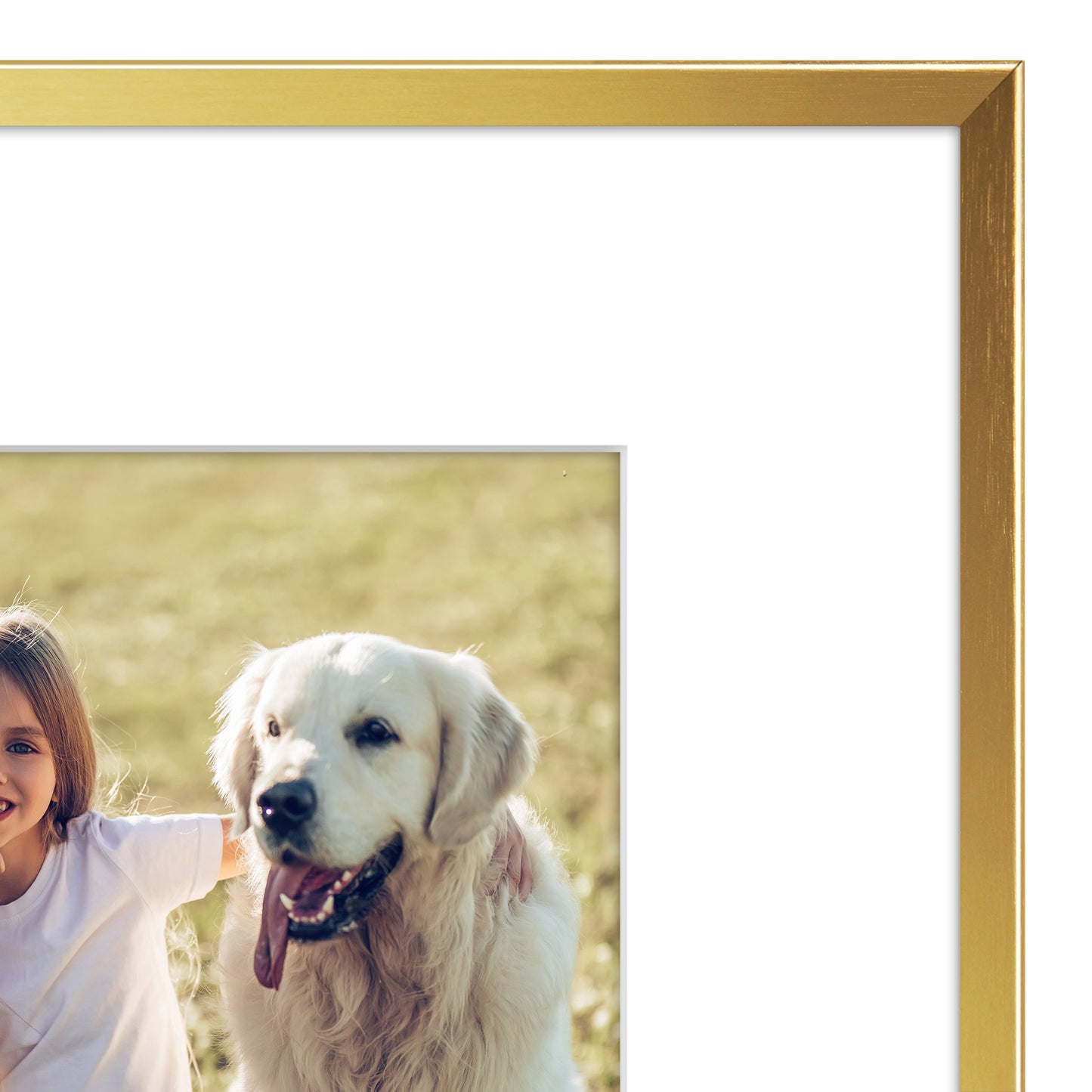 Aluminum Picture Frame | With Mat | Modern Metal Finish | Wall Art Decor Display