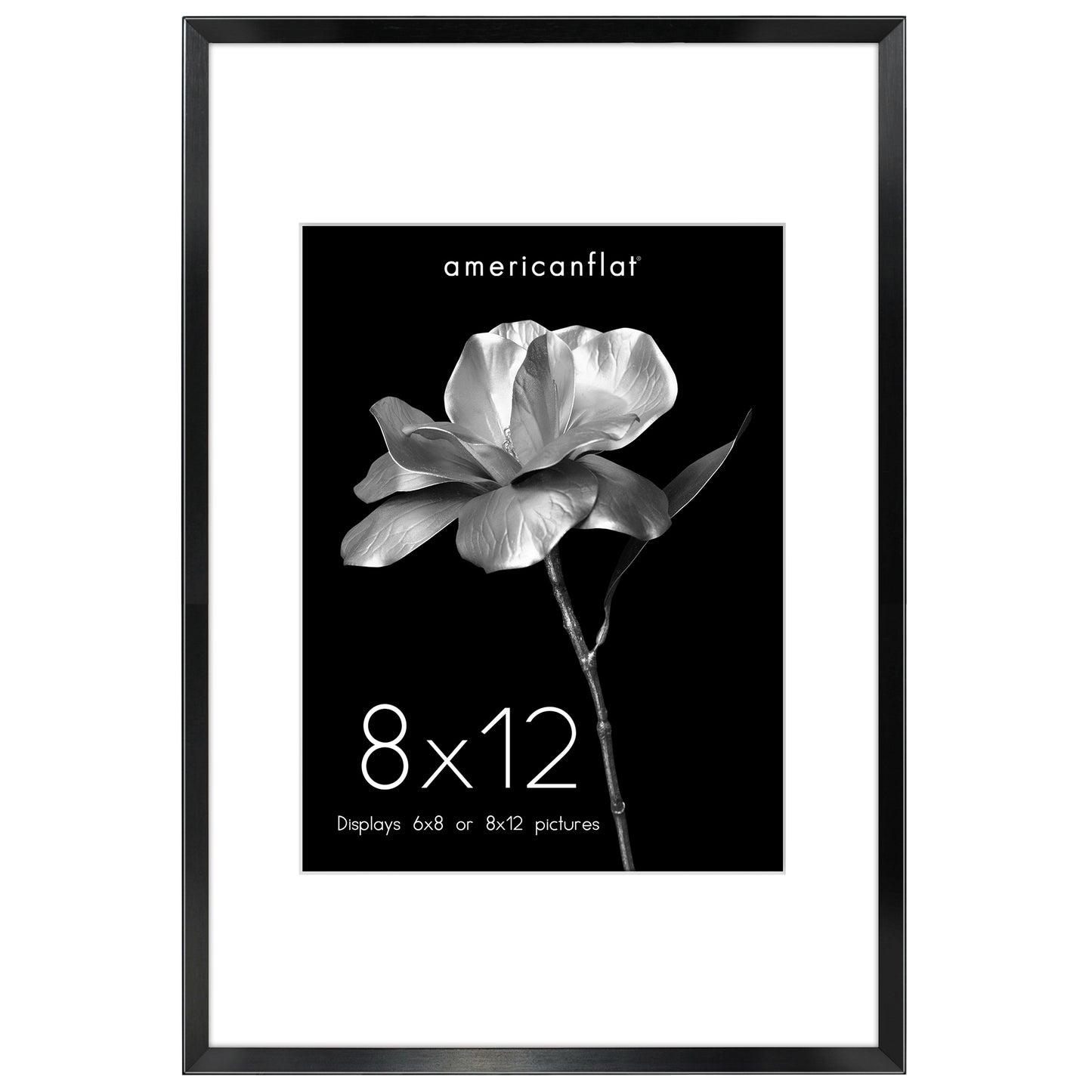 Aluminum Picture Frame | With Mat | Modern Metal Finish | Wall Art Decor Display