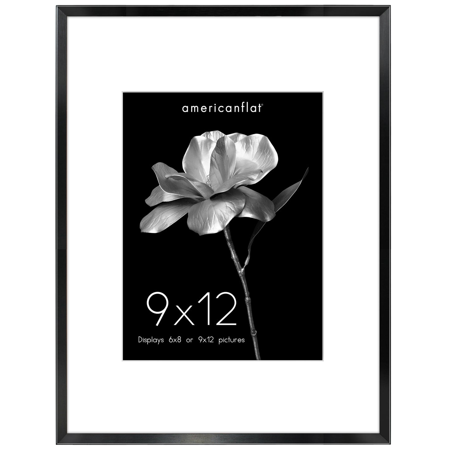 Aluminum Picture Frame | With Mat | Modern Metal Finish | Wall Art Decor Display