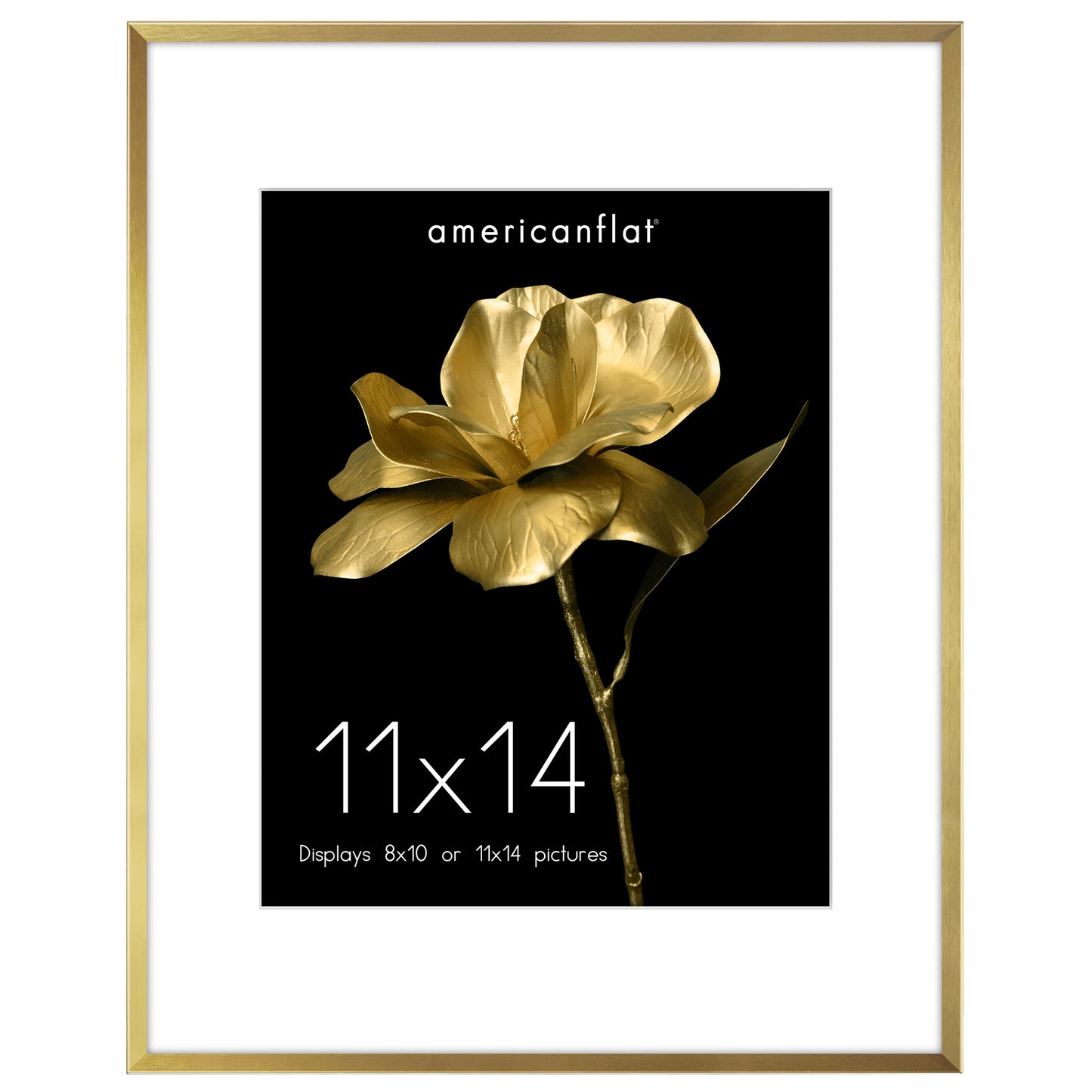 Aluminum Picture Frame | With Mat | Modern Metal Finish | Wall Art Decor Display