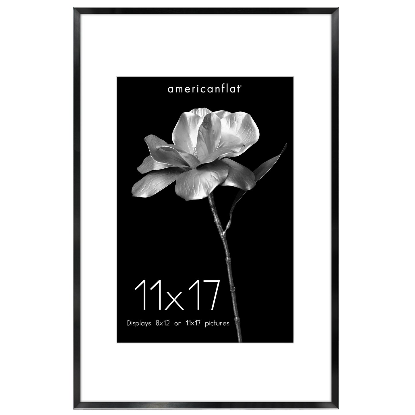 Aluminum Picture Frame | With Mat | Modern Metal Finish | Wall Art Decor Display