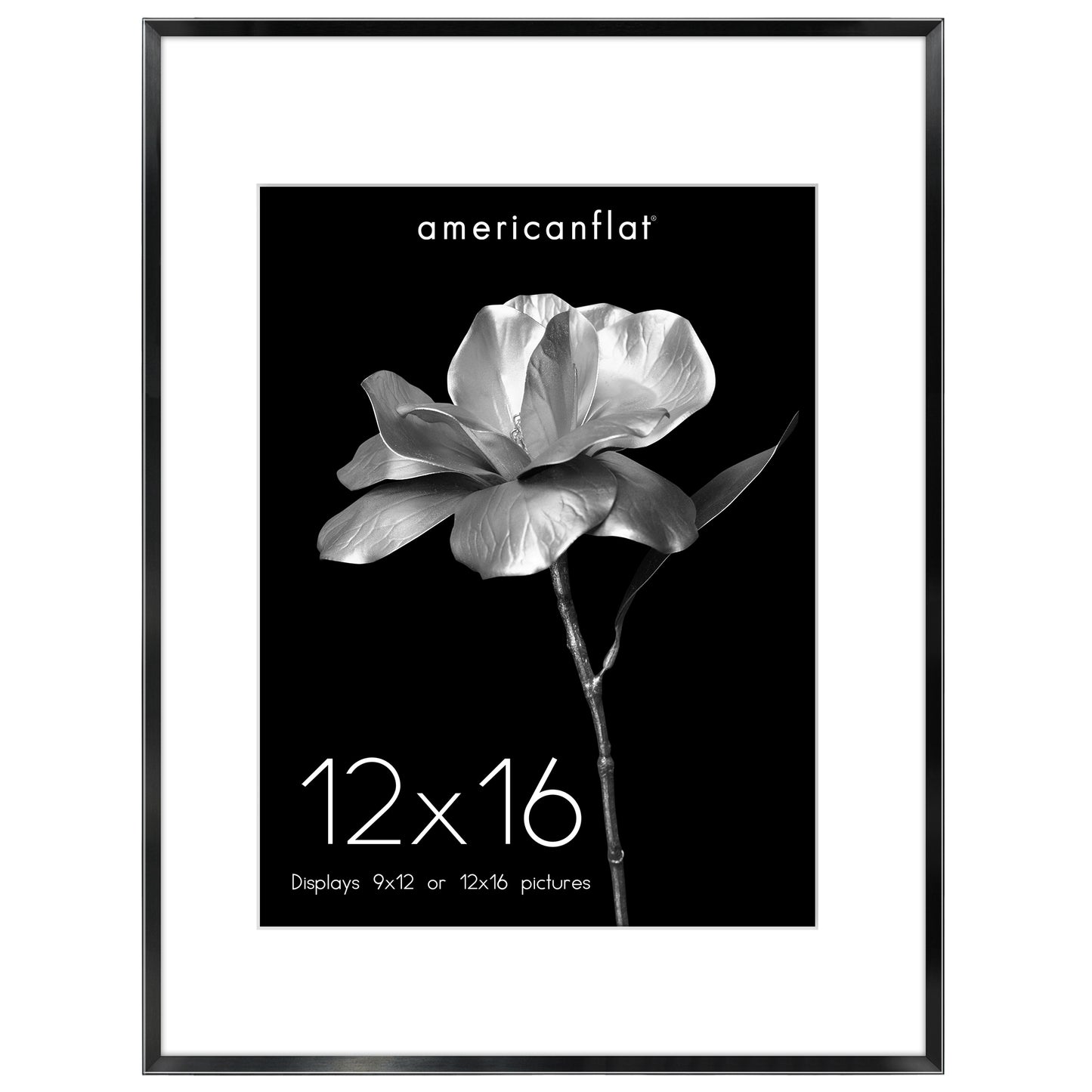Aluminum Picture Frame | With Mat | Modern Metal Finish | Wall Art Decor Display