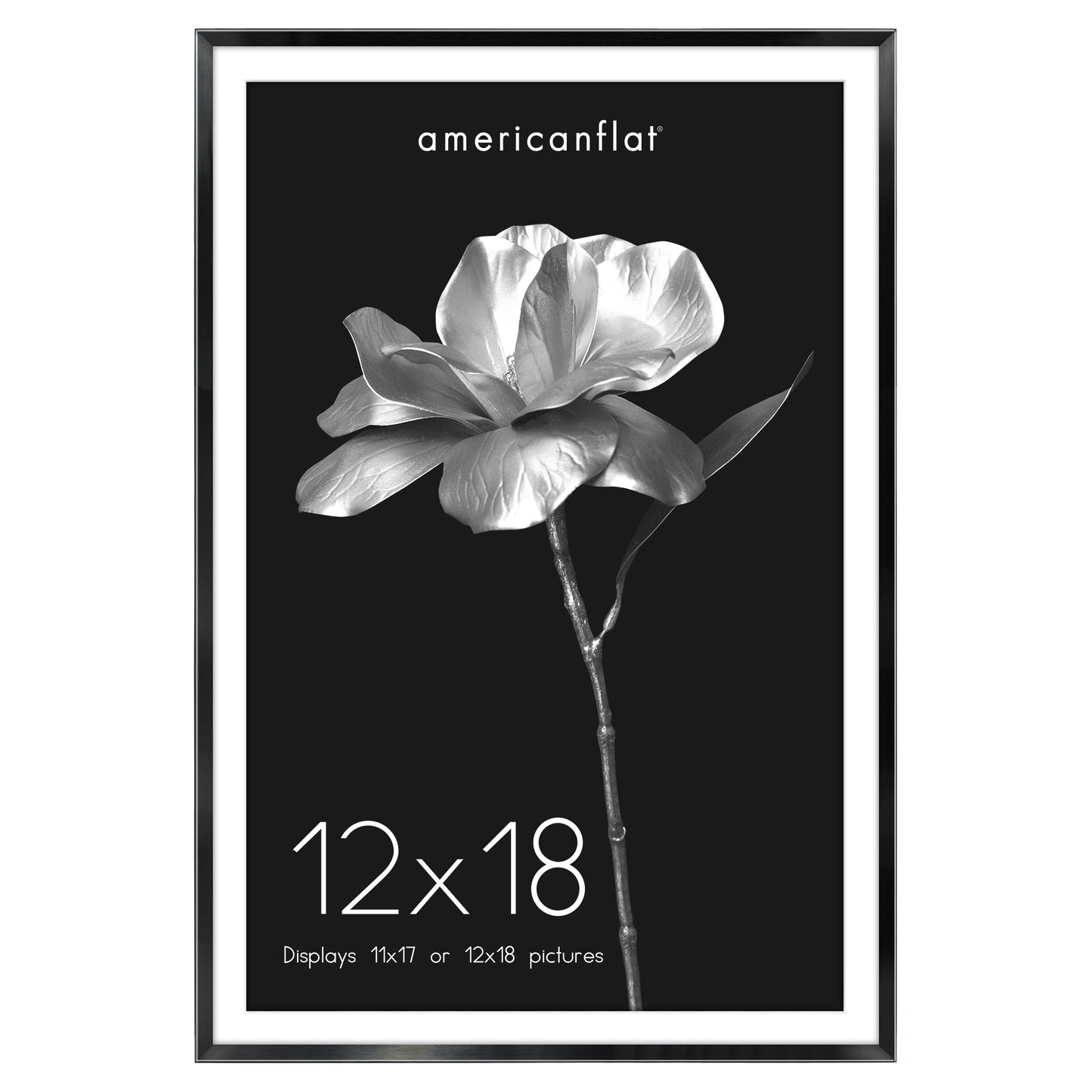 Aluminum Picture Frame | With Mat | Modern Metal Finish | Wall Art Decor Display