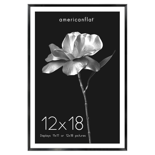 Aluminum Picture Frame | With Mat | Modern Metal Finish | Wall Art Decor Display