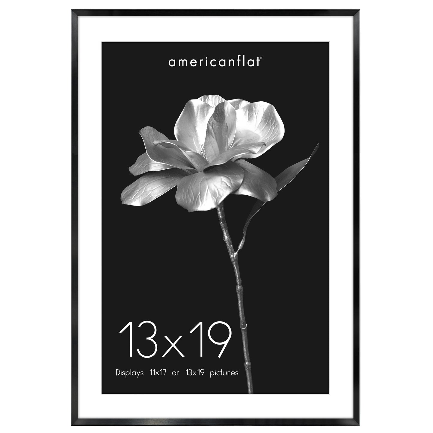 Aluminum Picture Frame | With Mat | Modern Metal Finish | Wall Art Decor Display