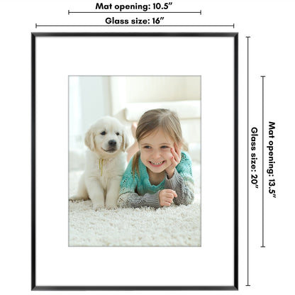 Aluminum Picture Frame | With Mat | Modern Metal Finish | Wall Art Decor Display