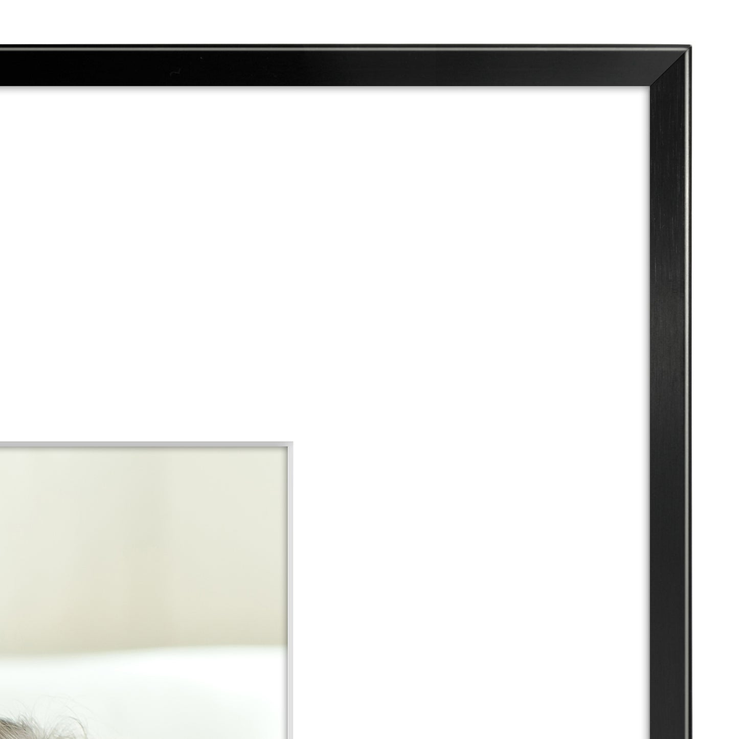 Aluminum Picture Frame | With Mat | Modern Metal Finish | Wall Art Decor Display