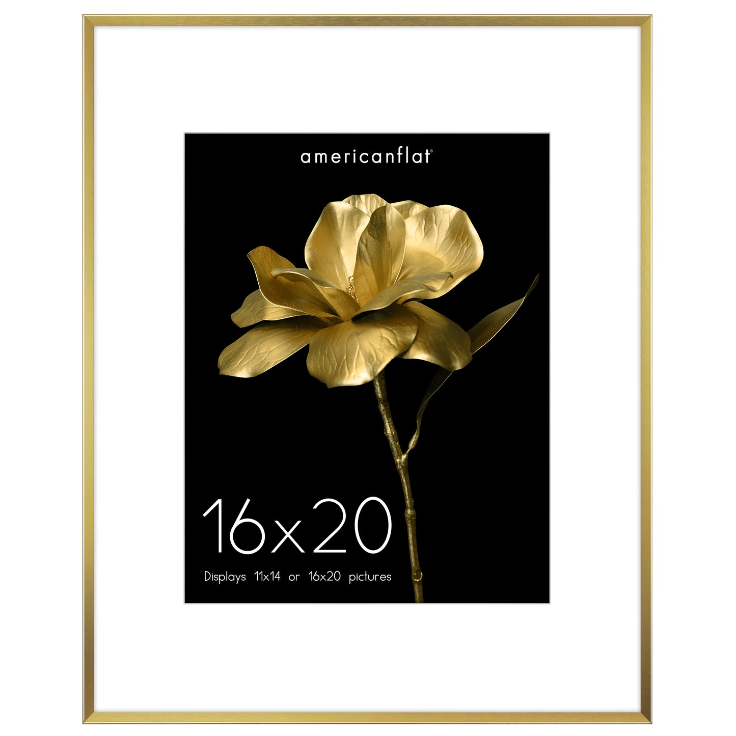 Aluminum Picture Frame | With Mat | Modern Metal Finish | Wall Art Decor Display