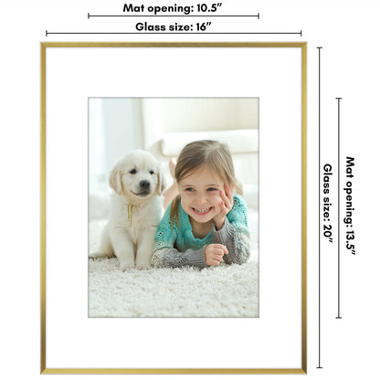 Aluminum Picture Frame | With Mat | Modern Metal Finish | Wall Art Decor Display