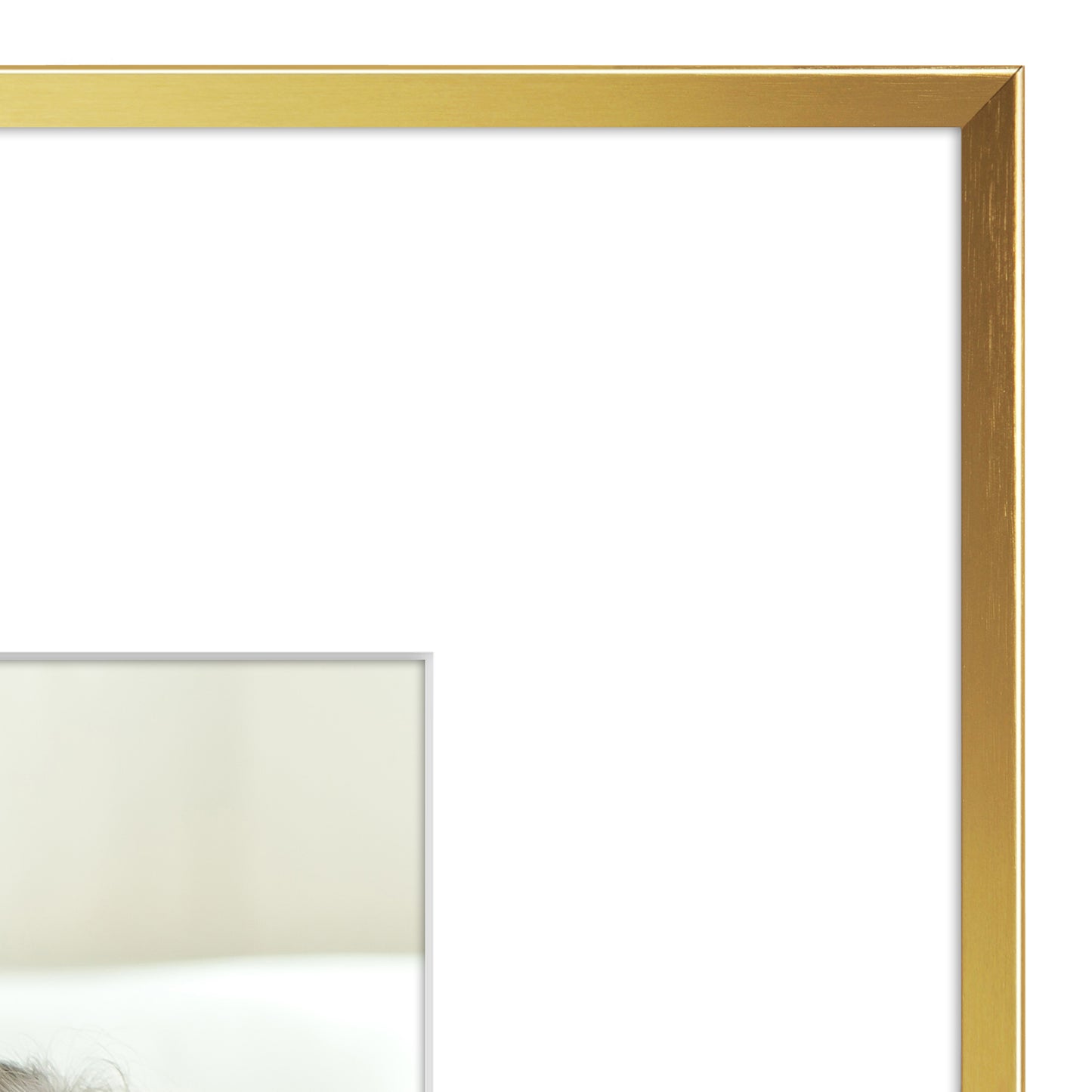 Aluminum Picture Frame | With Mat | Modern Metal Finish | Wall Art Decor Display