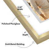 Corner diagram of a gold float frame: polished plexiglass, 0.35 inch width, 1 inch depth 