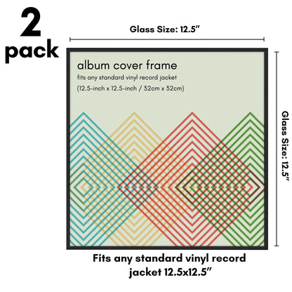 Vinyl Album Frame 2 Pack | Record Cover Display | Protective Wall Decor Frame