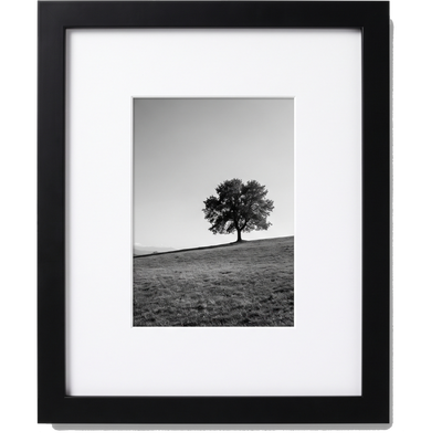 Signature Matted Engineered Wood Picture Frame — 5x7 / Black