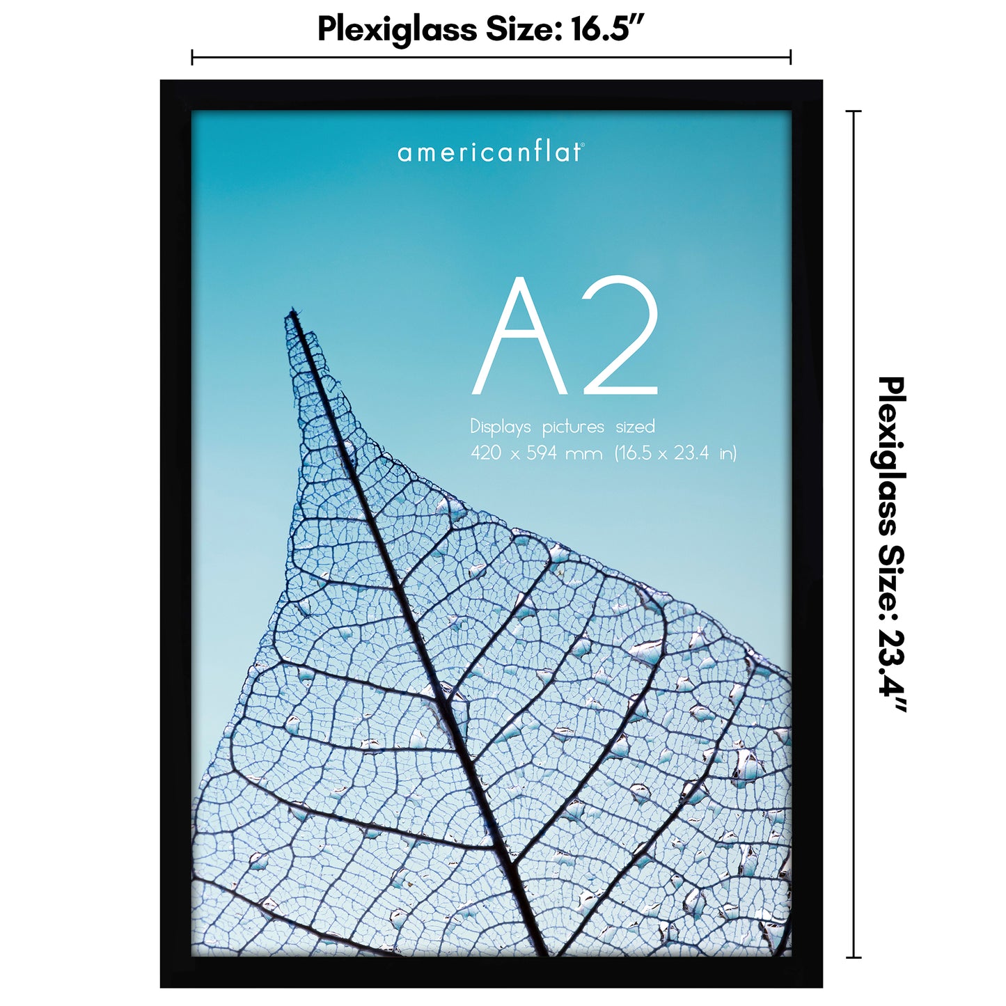 Picture Frame | Poster Frame | Wall Decor | For Photos Documents and Artwork