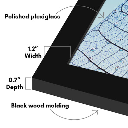 Picture Frame | Poster Frame | Wall Decor | For Photos Documents and Artwork