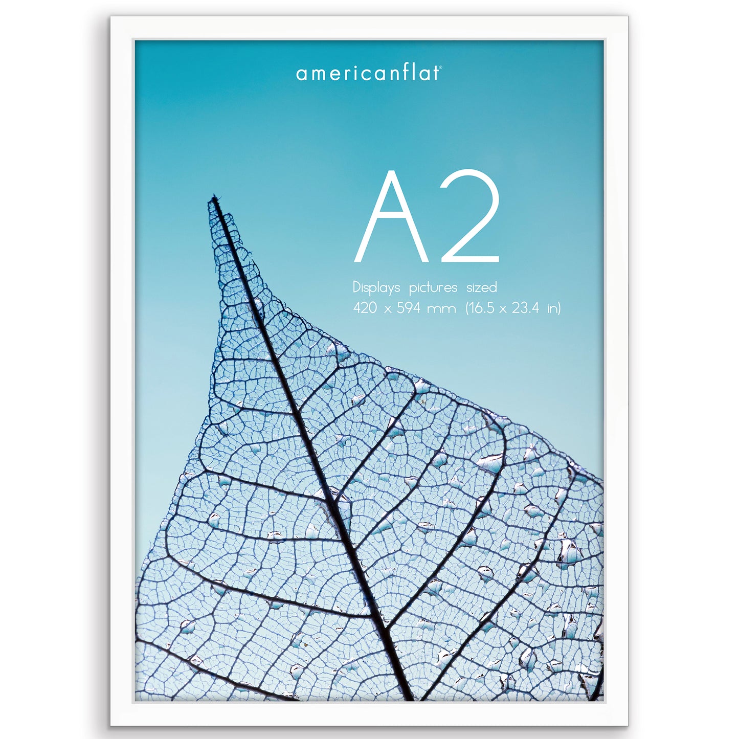 Picture Frame | Poster Frame | Wall Decor | For Photos Documents and Artwork