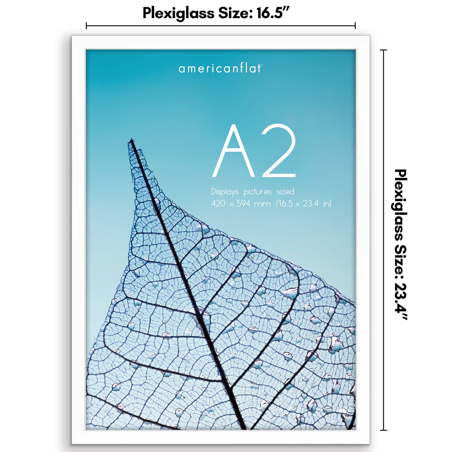 Picture Frame | Poster Frame | Wall Decor | For Photos Documents and Artwork