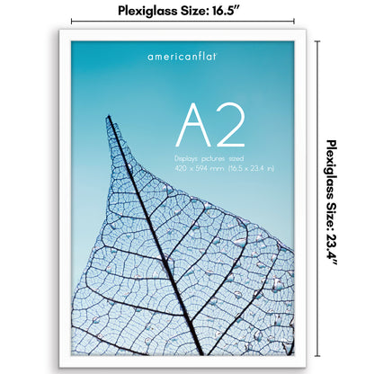 Picture Frame | Poster Frame | Wall Decor | For Photos Documents and Artwork
