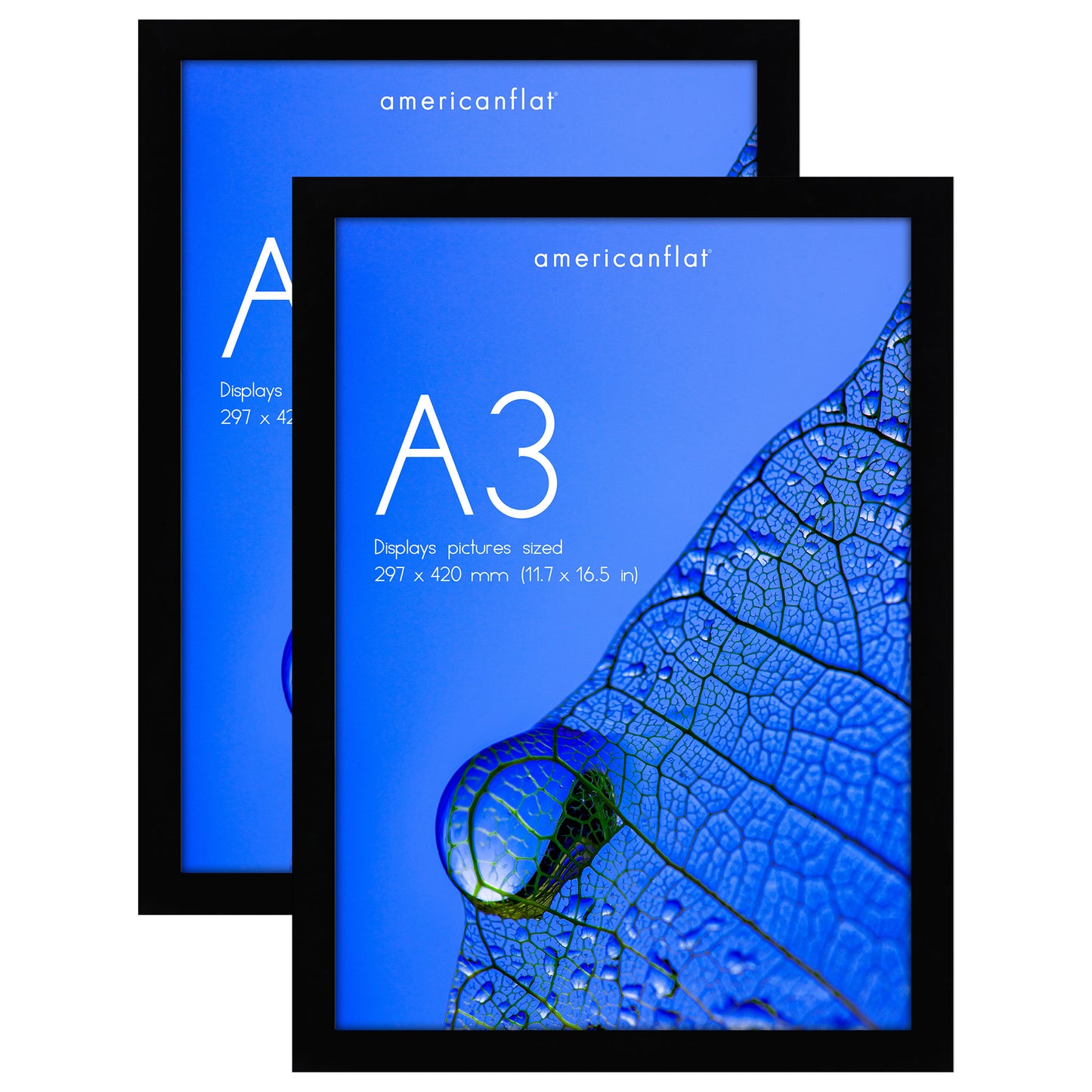 Poster Frame 2 Pack | Modern Wall Art Display | Shatter-Resistant Glass