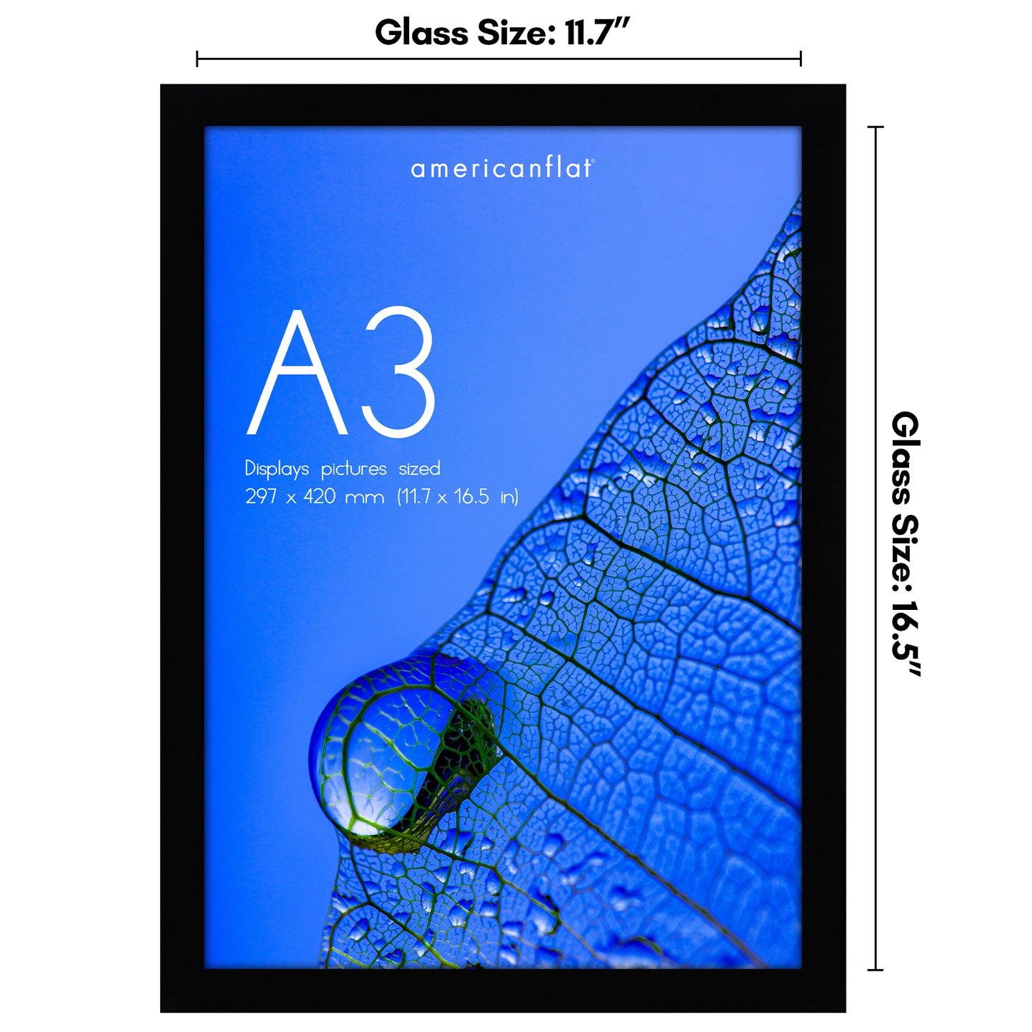 Picture Frame | Poster Frame | Wall Decor | For Photos Documents and Artwork